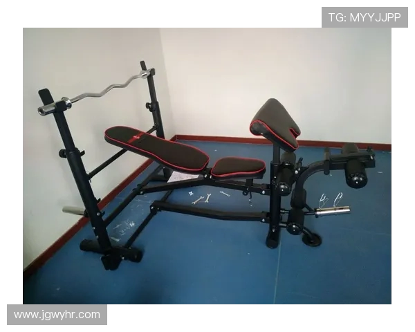 简约实用的健身器材图片欣赏