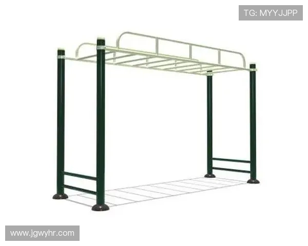 专业健身器材分类及功能介绍详解