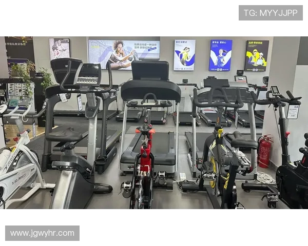 高性价比健身器材选购地图：品牌店与批发市场推荐